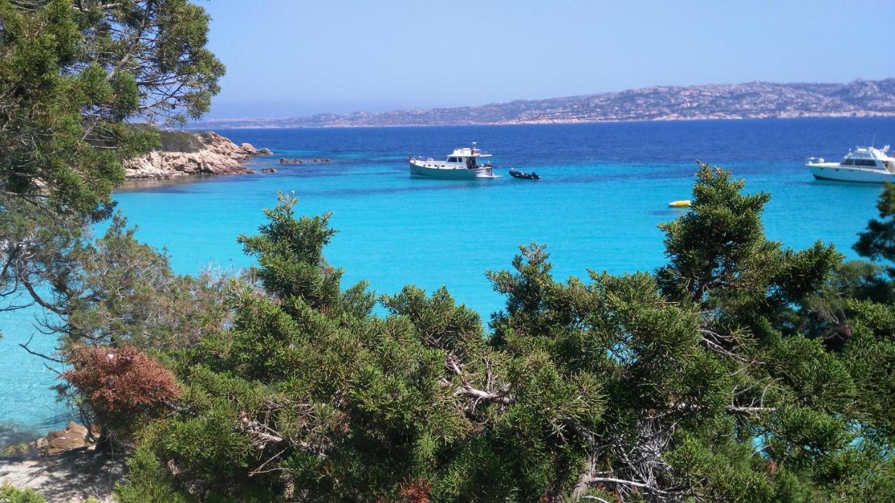 Domus De Janas Bed & Breakfast Santa Teresa Gallura Bagian luar foto