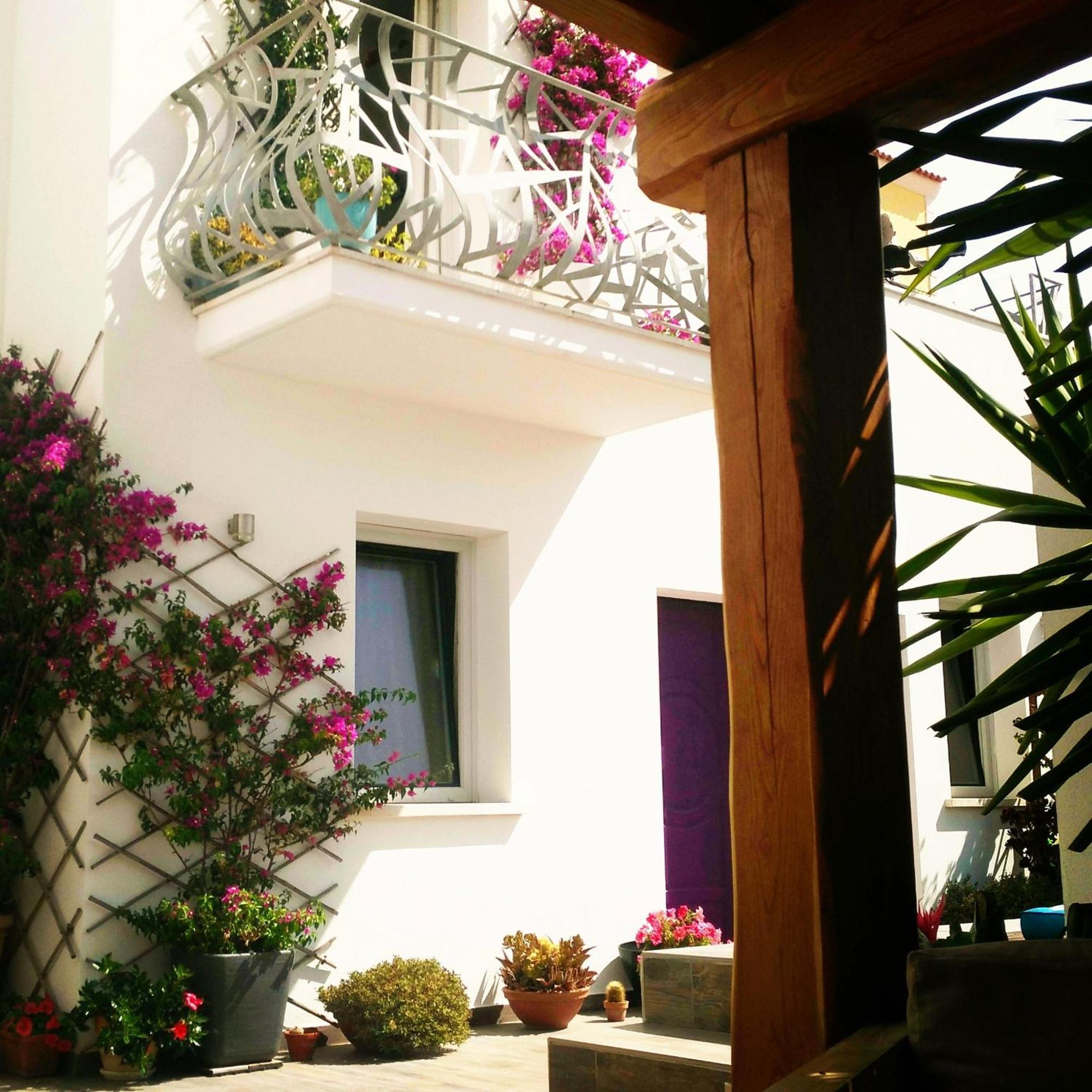 Domus De Janas Bed & Breakfast Santa Teresa Gallura Bagian luar foto