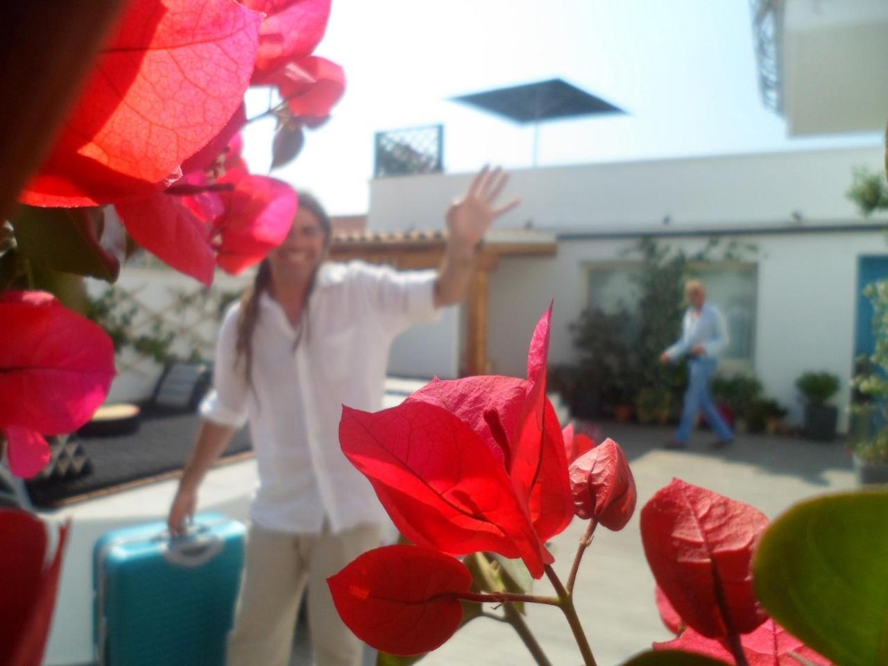 Domus De Janas Bed & Breakfast Santa Teresa Gallura Bagian luar foto